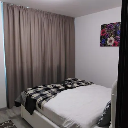 Avram Iancu Apartment *