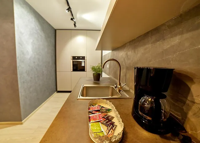 Avram Iancu * 브라쇼브